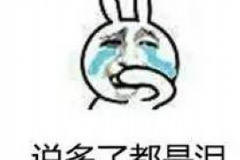 开平追债公司：专业高效，助您解决债务难题
